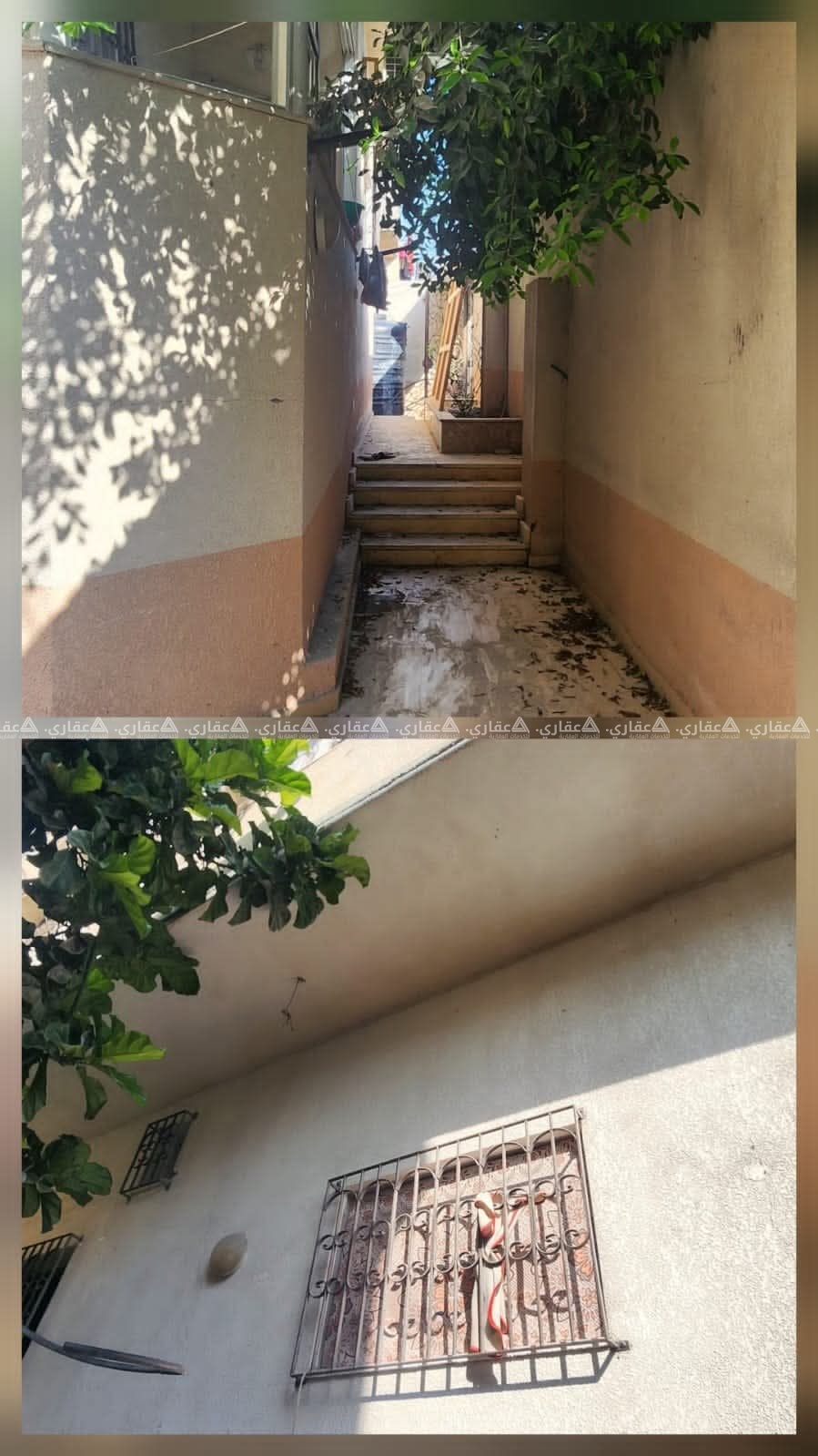 بيت مستقل للايجار غرب مسشتقى القدس