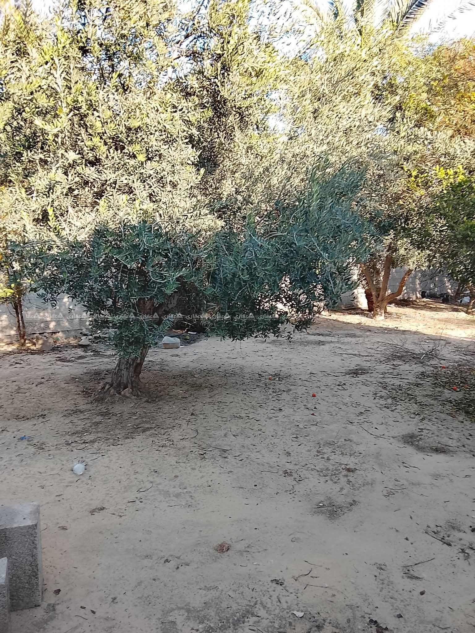 قطعة ارض مسورة للبيع