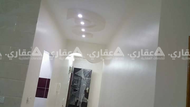 شقة