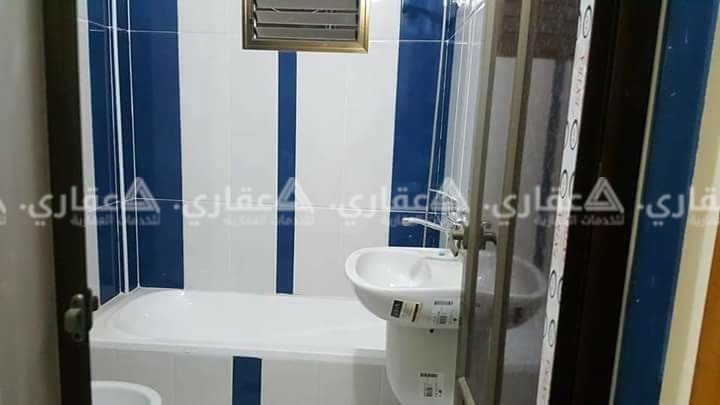 شقة