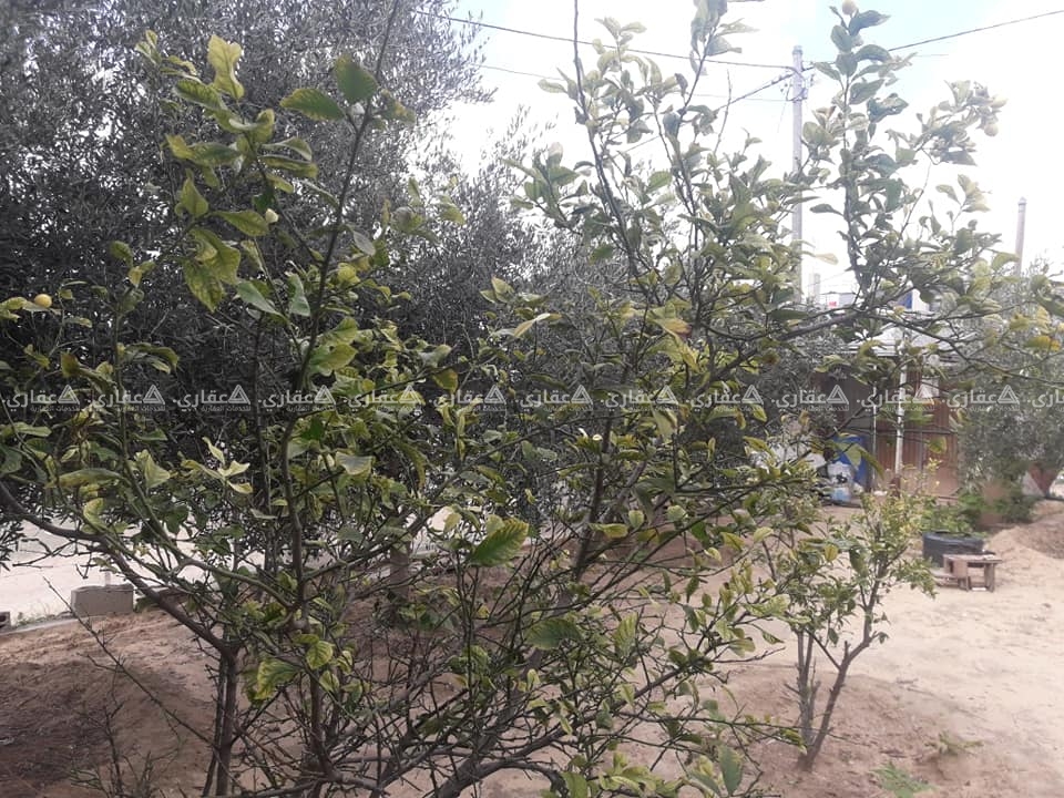 بيت 80 متر اسباست تشطيب جيد جدا 