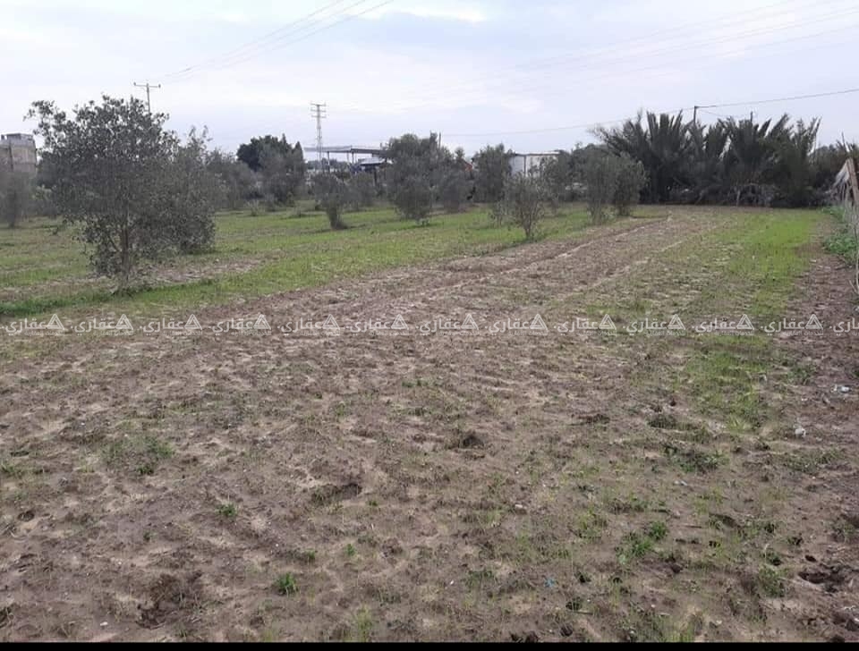 أرض للبيع في جحر الديك