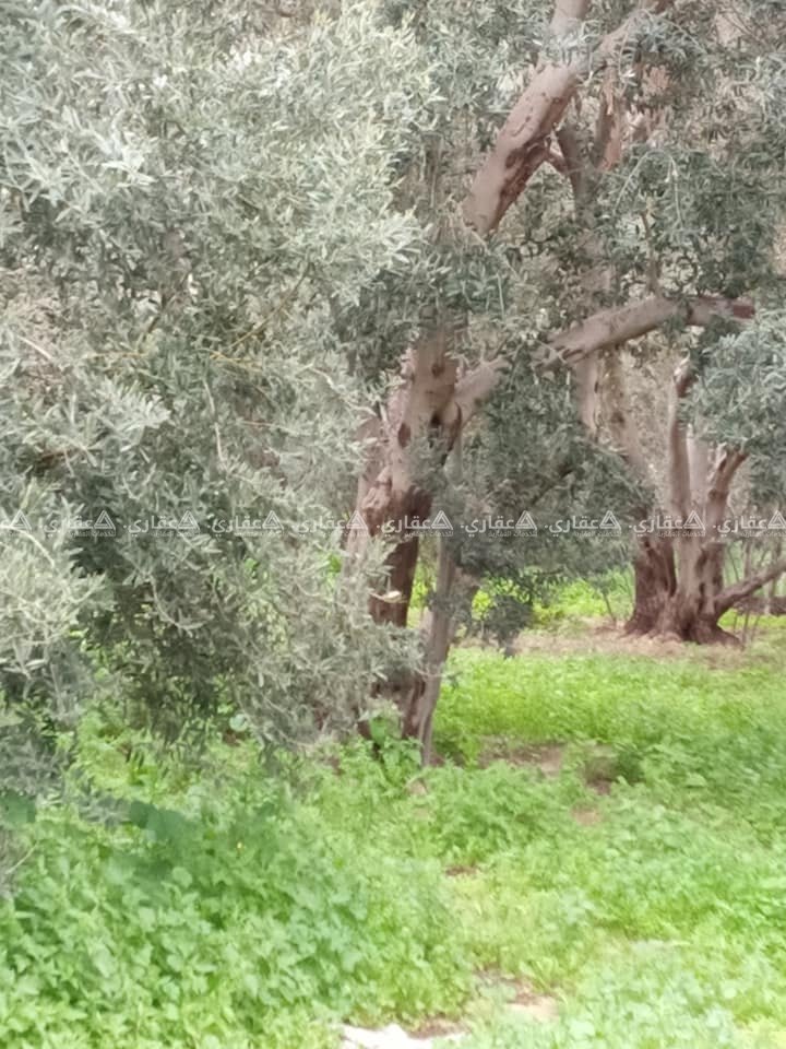 قطعة ارض للبدل على بيت في غزة او للبيع 