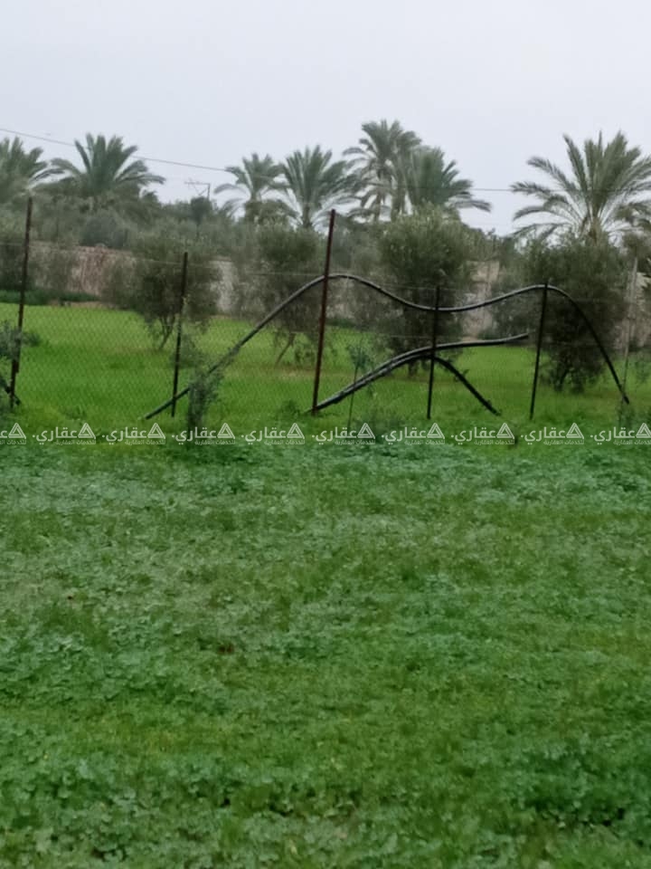 قطعة ارض قرب المدينة السكنية في جحر الديك
