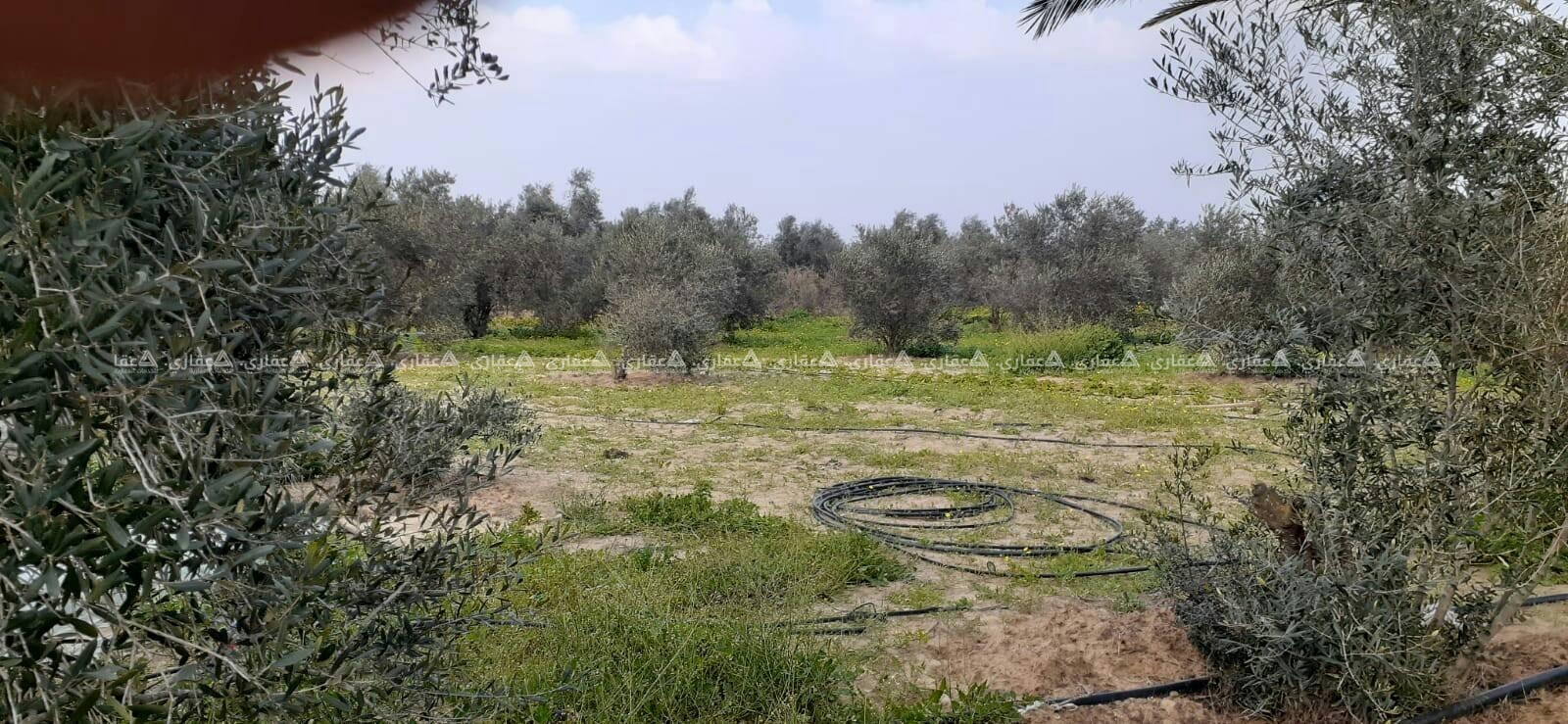 للبيع ارض طابو فى خانيونس جنوب غرب الأوروبي
