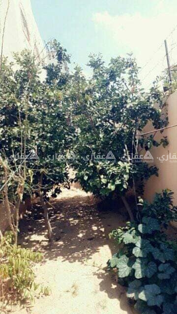 للبيع بيت فى خانيونس الحي الياباني خلف مدارس الوكالة 