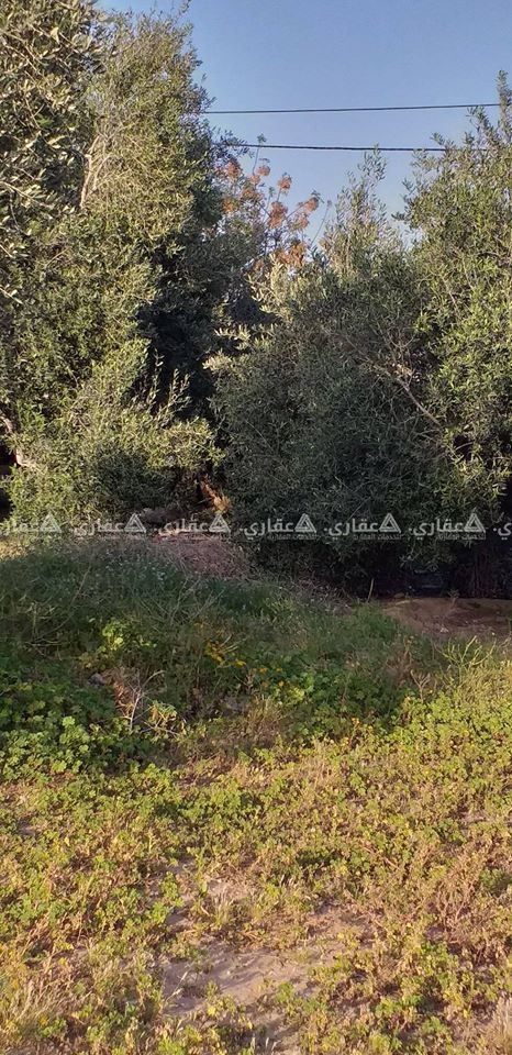قطعة ارض للبيع المساحة 400م واجهة 20×20