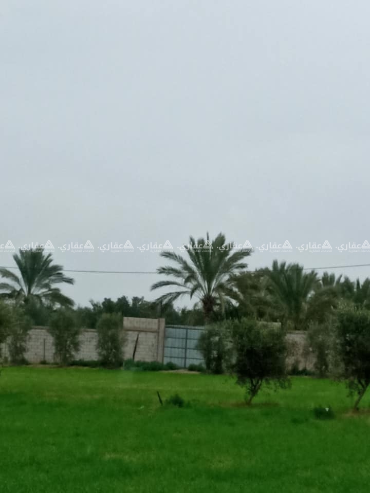 قطعة ارض قرب المدينة السكنية في جحر الديك