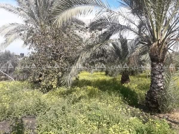 بسعر مغري جدا دونم ارض طابو في القرارة
