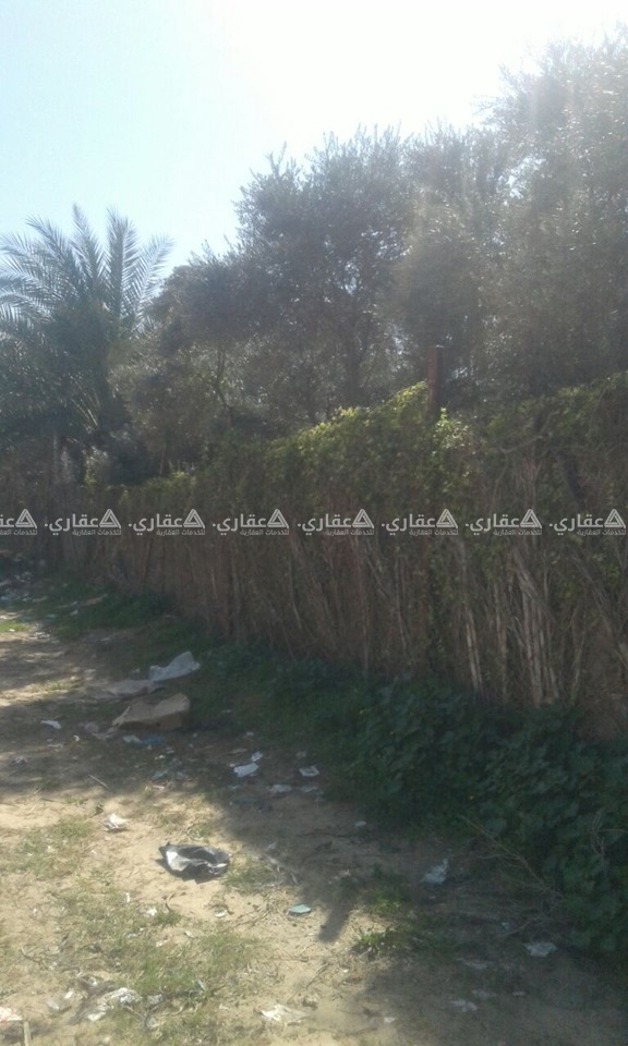 قطعه ارض للبيع في الزوايده غرب البلديه 