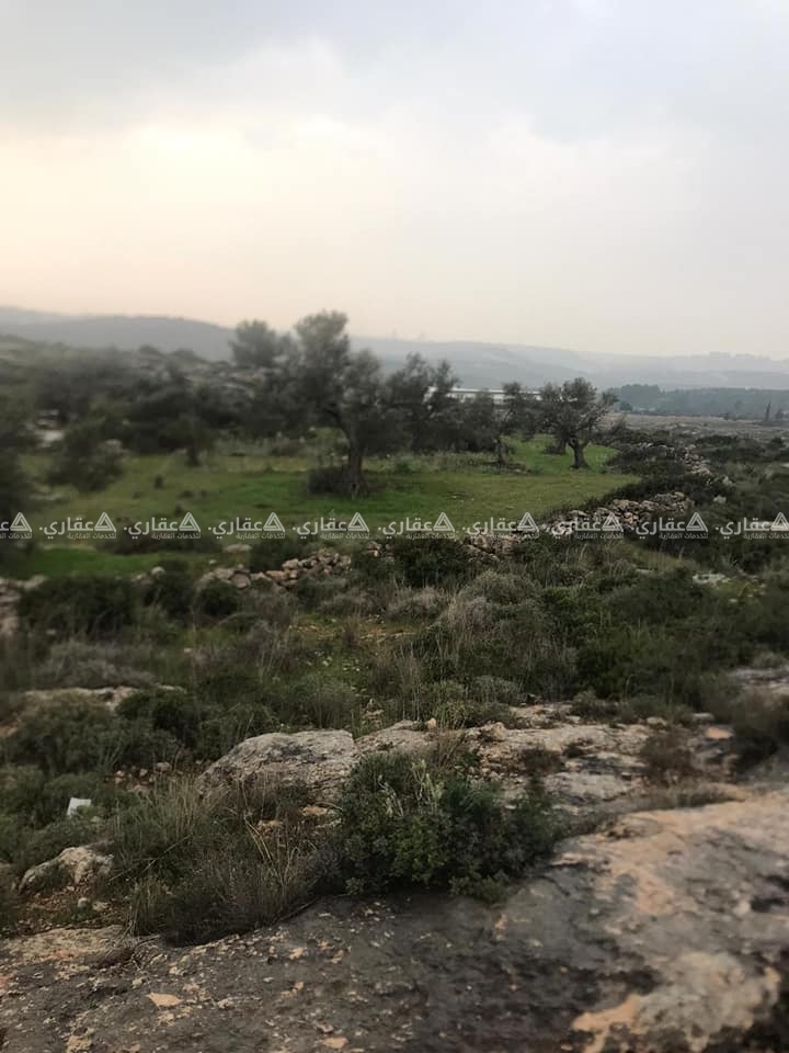 أرض 2700متر في كفر نعمه 
