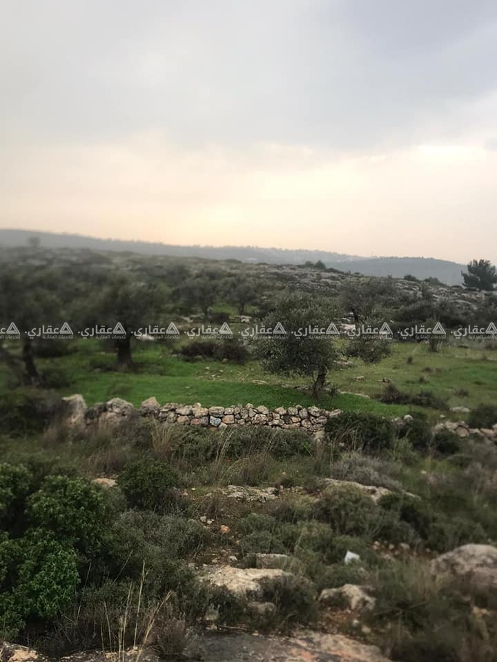 أرض 2700متر في كفر نعمه 