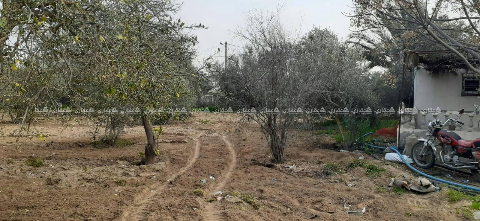 للبيع ارض طابو فى خانيونس جنوب غرب الأوروبي