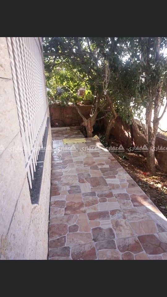 استديو فارغ او مفروش للايجار