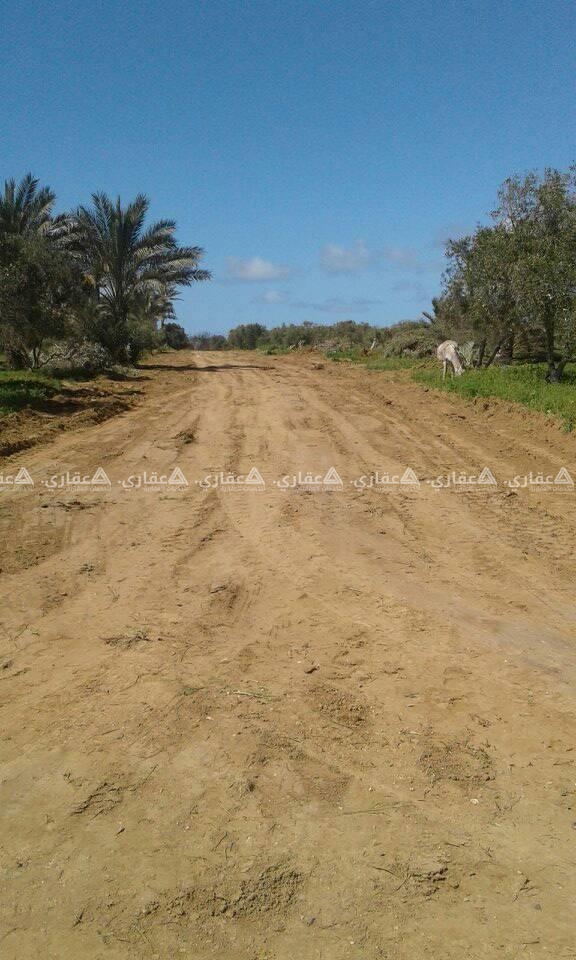 أرض في الزوايدة تبعد عن البحر 160متر