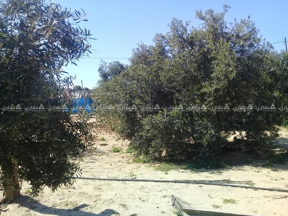 قطعة أرض للبيع من ٢٠٠ متر ل ٨٠٠ متر