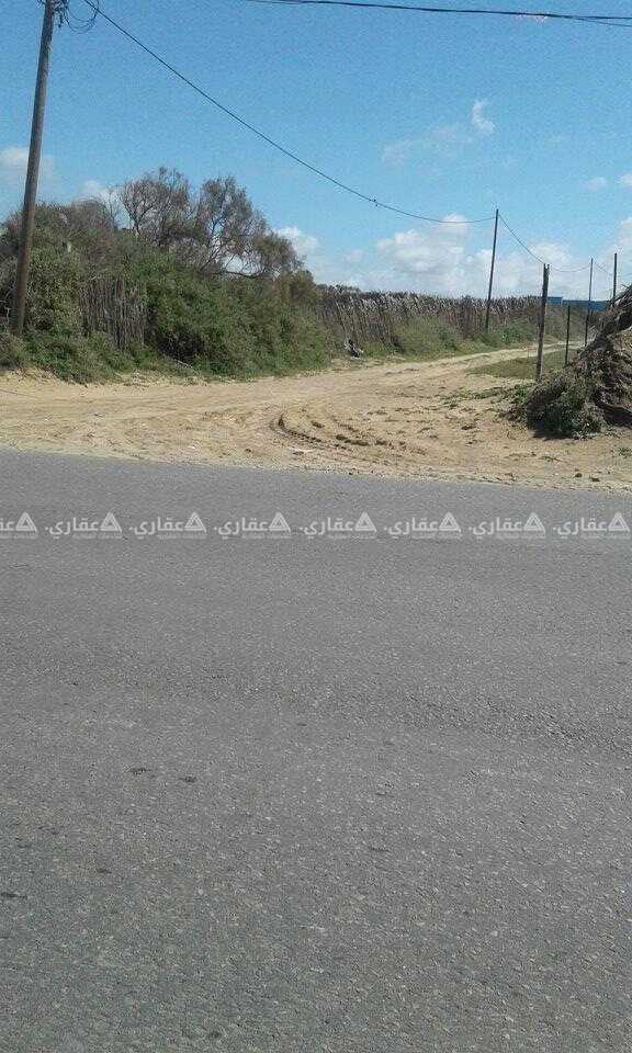 أرض في الزوايدة تبعد عن البحر 160متر