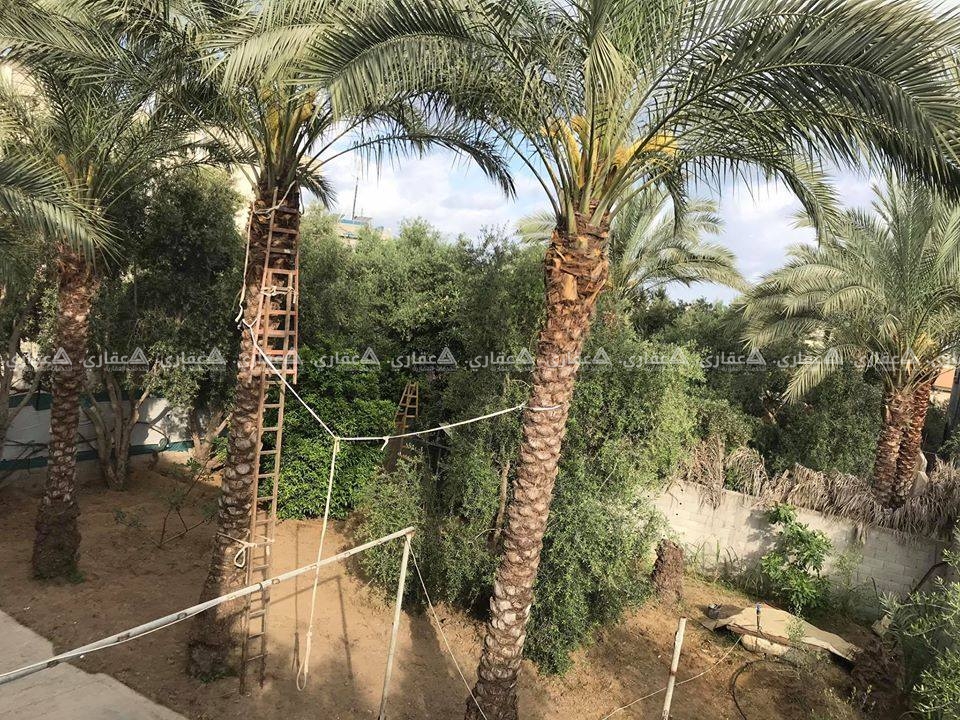 قطعه ارض في النصيرات منطقه السوارحه 