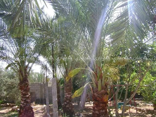 قطعة ارض 750 متر طابو وتنازل عالشباك