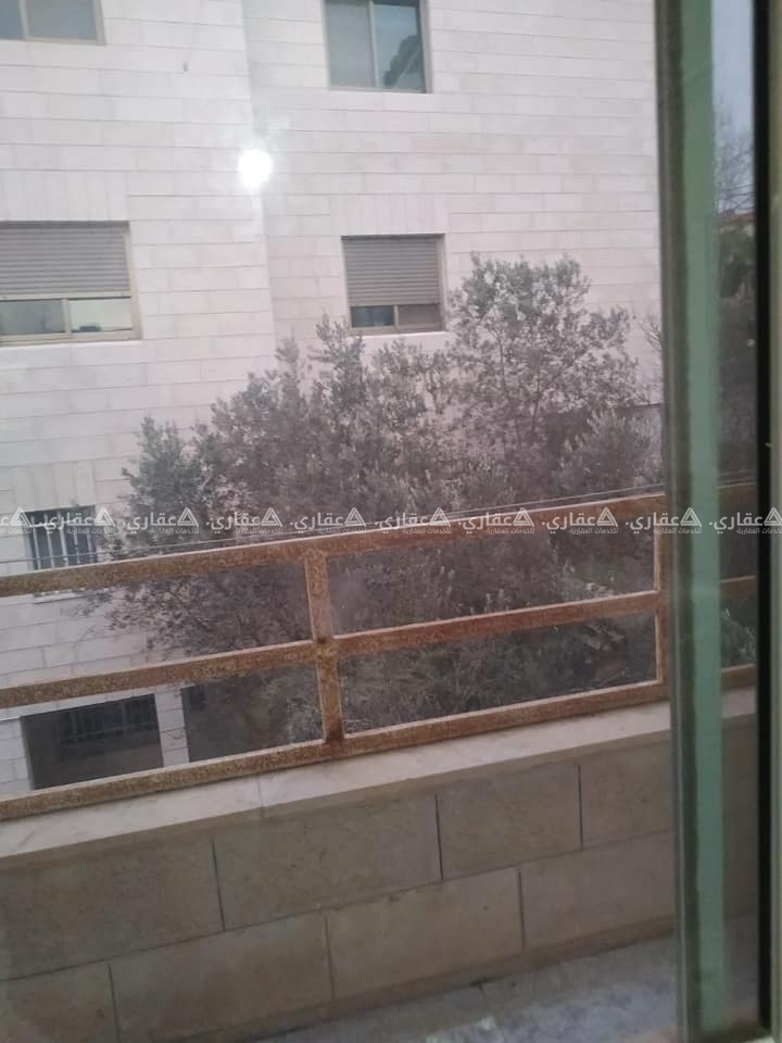 شقة مفروشة للايجار بالطيره
