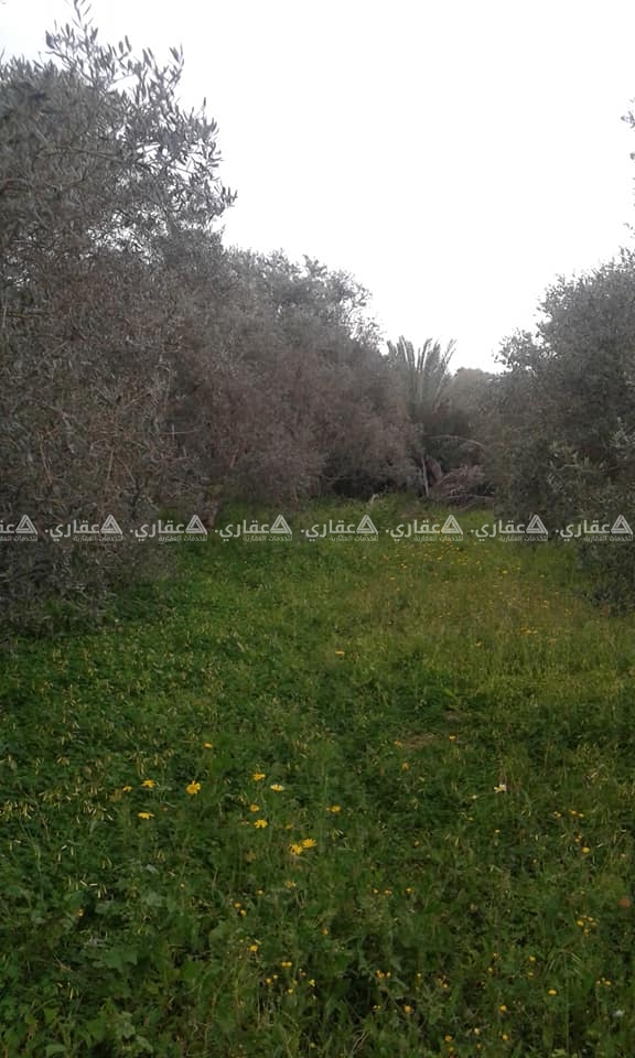 قطعة أرض للبيع في جحر الديك