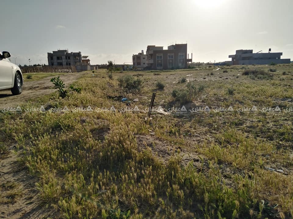 ارض طابو للبيع 500متر غرب مدينة حمد