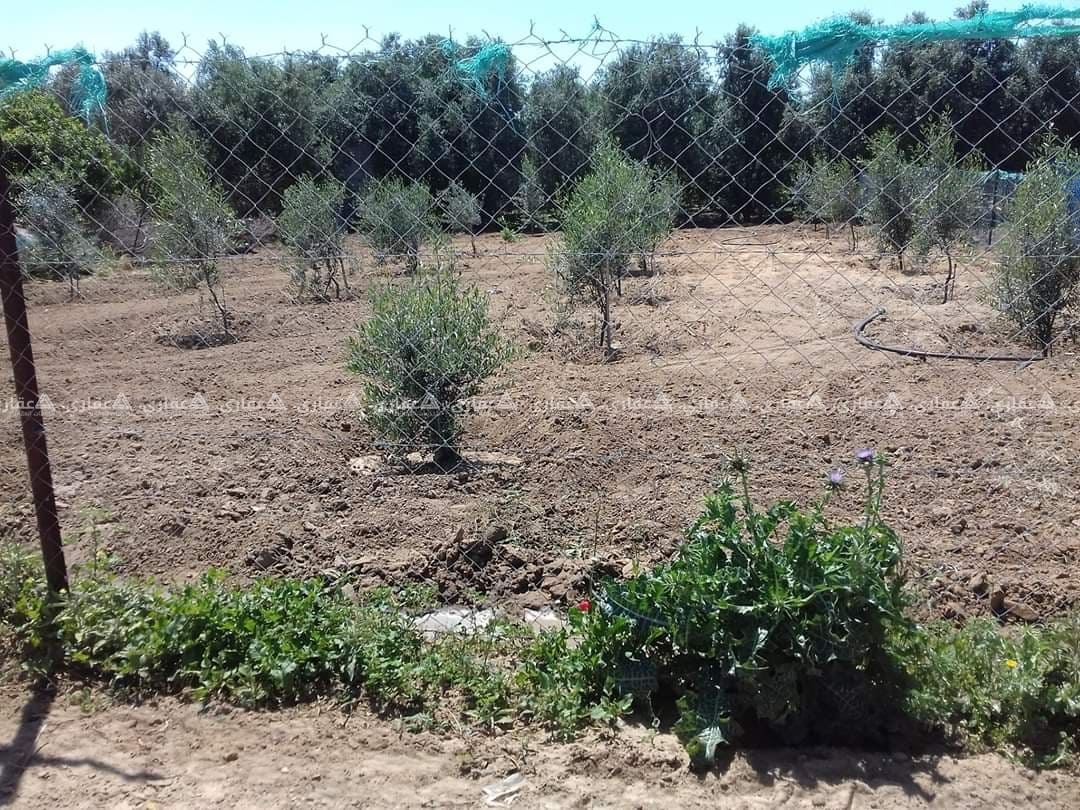 أرض طابو للبيع في جحر الديك