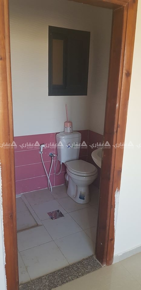 شقة_فارغة_للايجار في البالوع