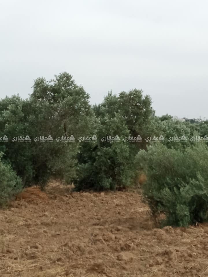  قطعة ارض مساحة 500متر شرق مخيم البريج