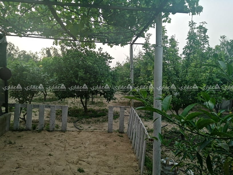 أرض مزروعة العديد من الاشجار وبها خطين مياة بلدية وبئر