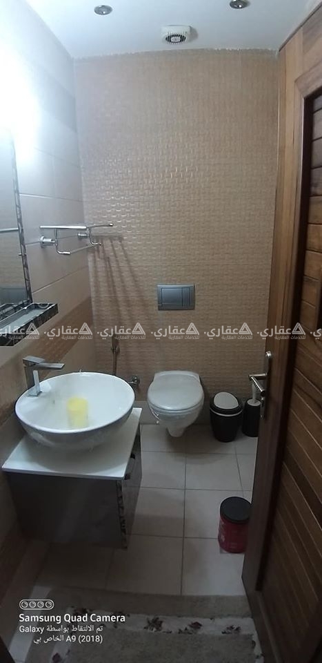 شقة 