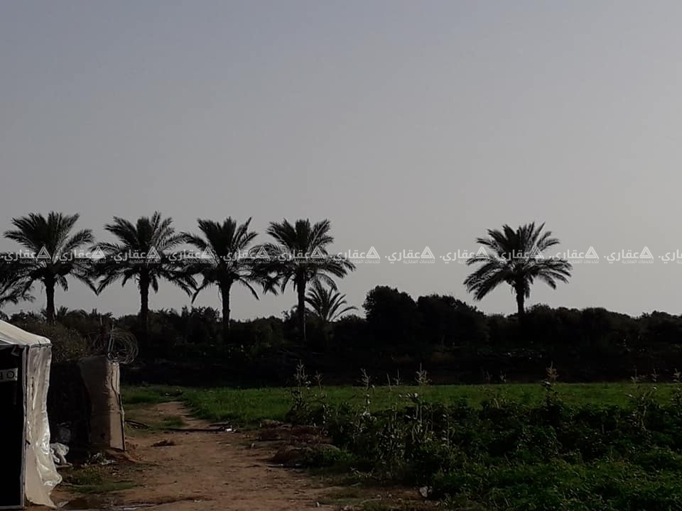 ارض للبيع السودانية بعد الواحة ٢٠٠ متر