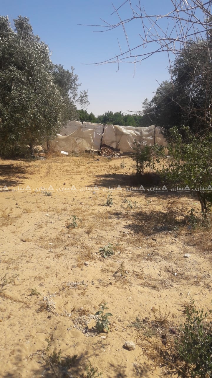 قطعة أرض للبيع شرق محطة التحرير