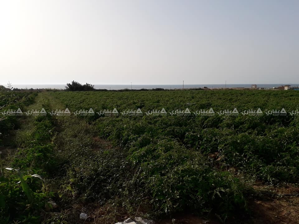 ارض للبيع السودانية بعد الواحة ٢٠٠ متر
