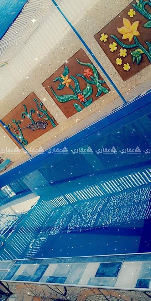 شاليه لولو خلف نادي الفروسية