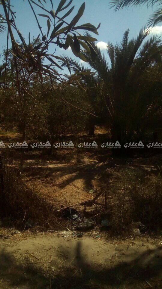  قطعة أرض 1000م،في منطقة الزوايدة