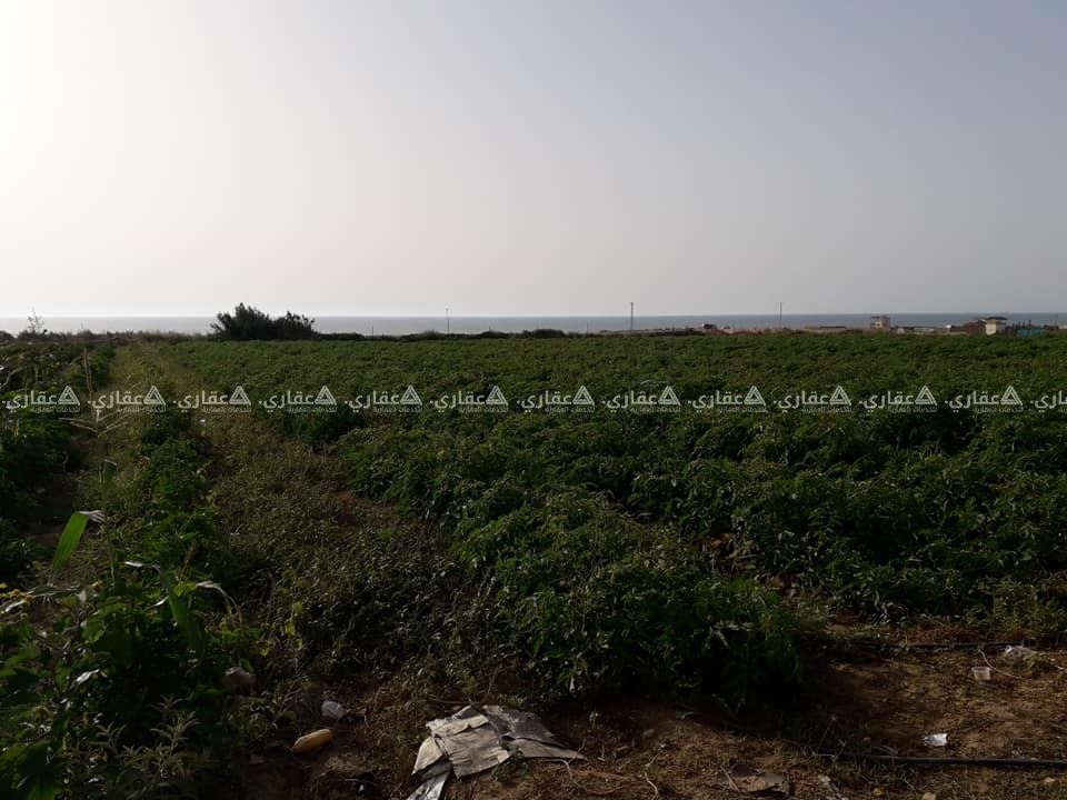 ارض للبيع السودانية بعد الواحة ٢٠٠ متر