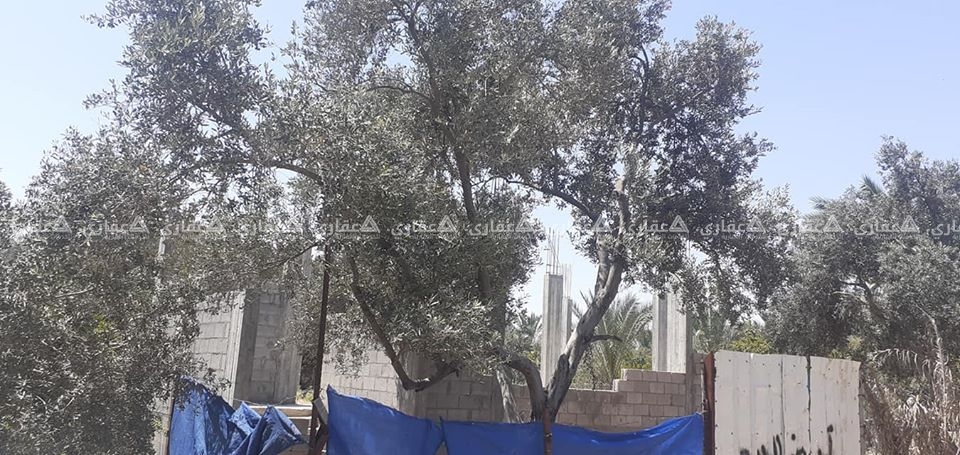 ارض للبيع  وبسعر مغري جداا 