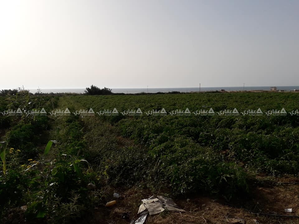 ارض للبيع السودانية بعد الواحة ٢٠٠ متر