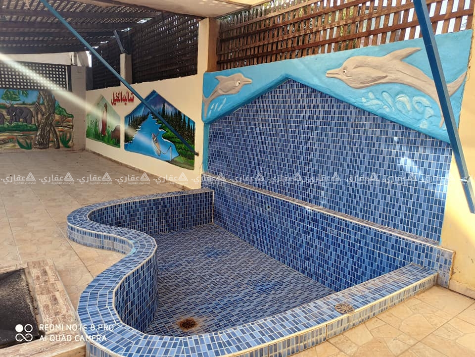 شاليه النخيل في السودانية