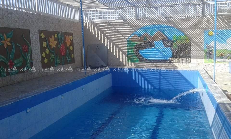 شاليه لولو خلف نادي الفروسية