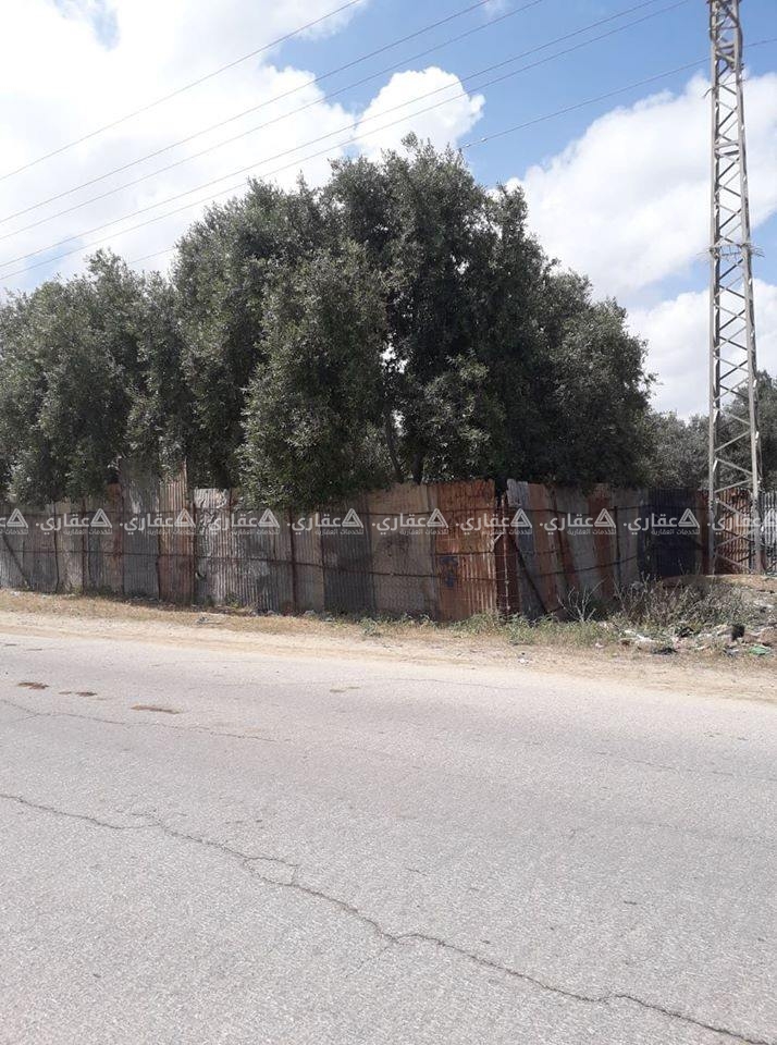 قطعه ارض للبيع شرق دير البلح 