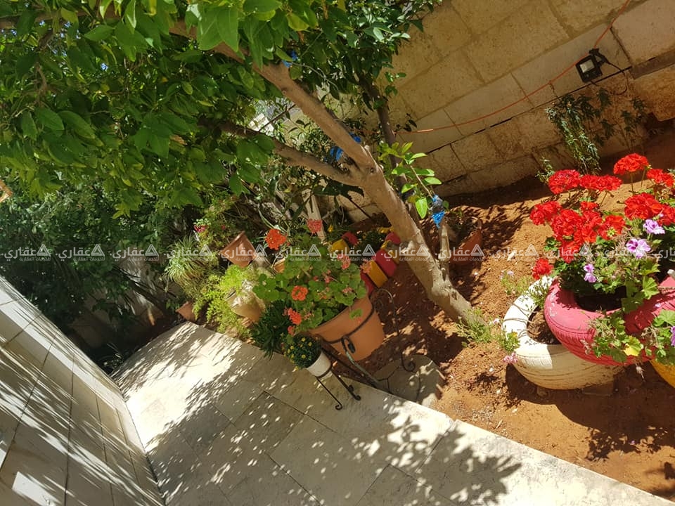 شقه فارغه للايجار 150 م ع الشرفه