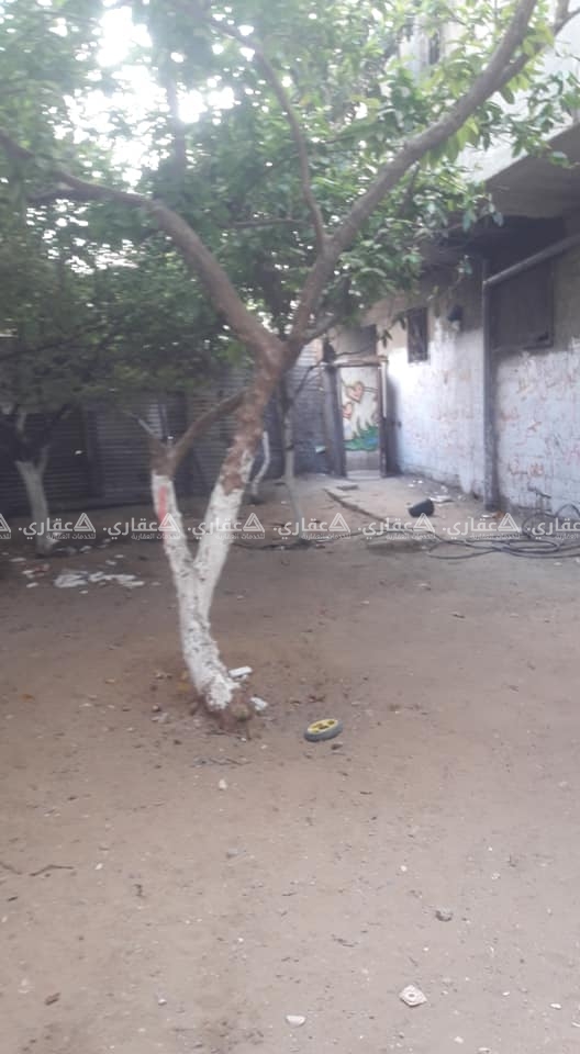 منزلين للبيع + أرض في شارع يافا