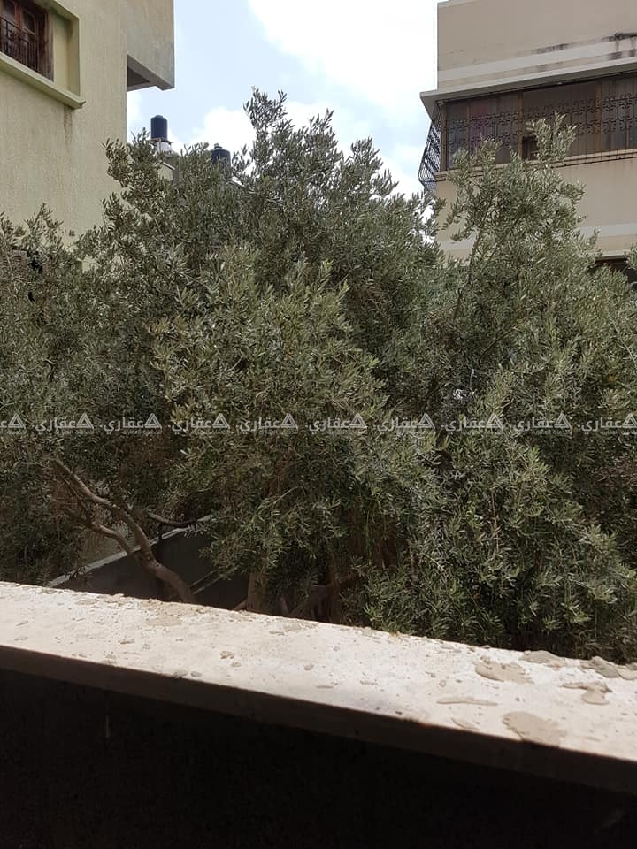 شقة عظم في عمارة حديثة البناء