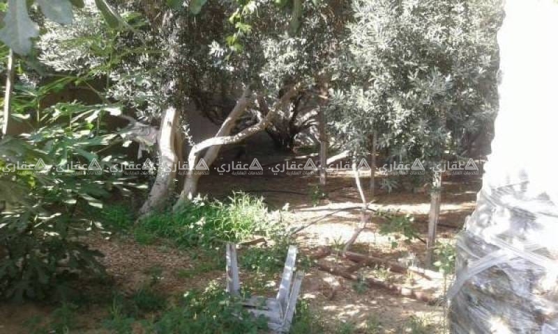 قطعة ارض مساحة 290 م الموقع ارض ابو مهادي