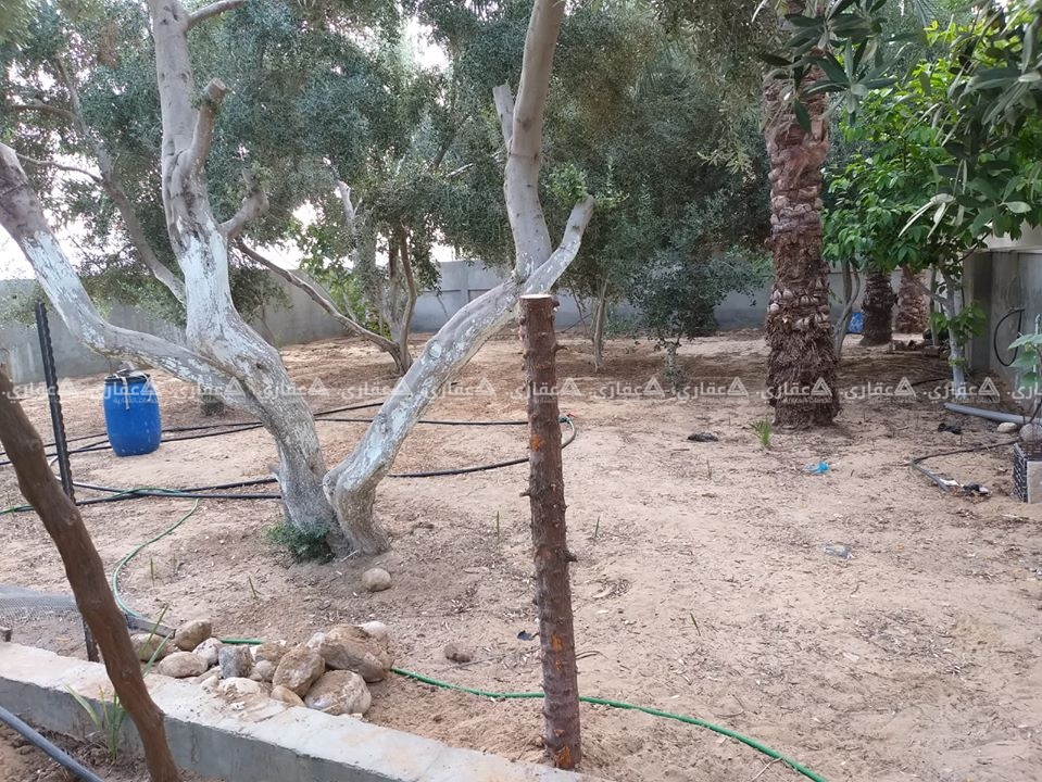 فيلا للبيع خانيونس السطر الغربي