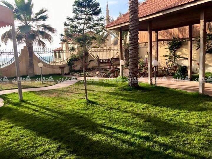 شاليه 5star الشنطي