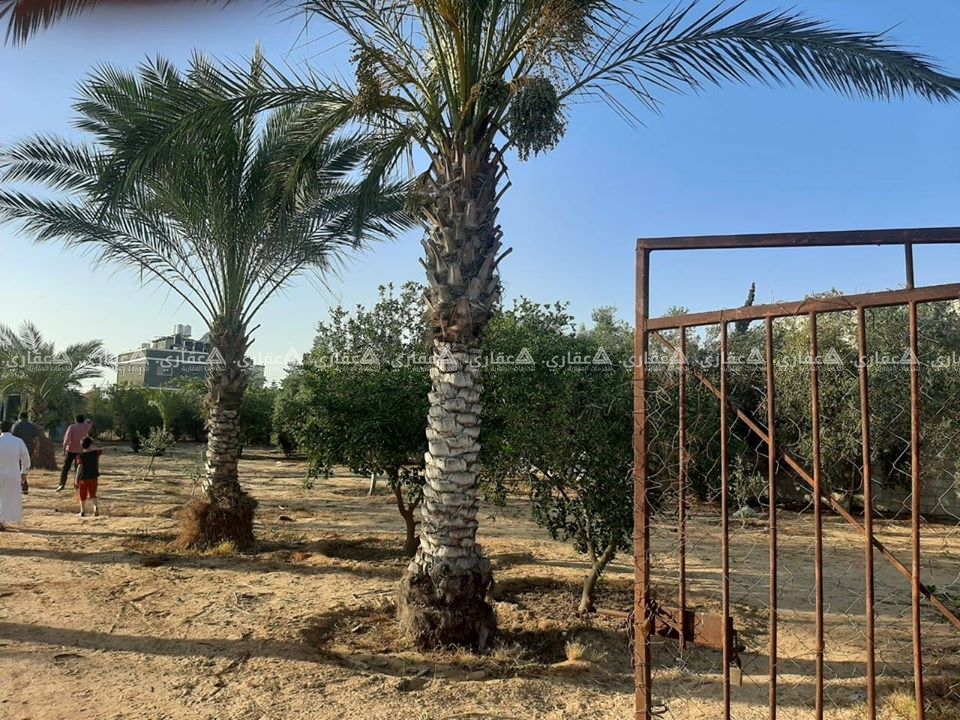 قطعة ارض تقع في المنطقة الشرقية من محافظة رفح