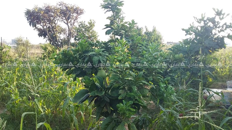 قطعة أرض طابو 624 متر للبيع